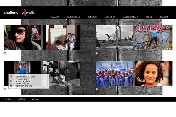 Schreenshot der Website Challenging Walls